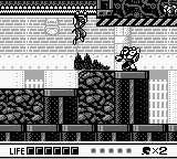 Ninja Gaiden Shadow